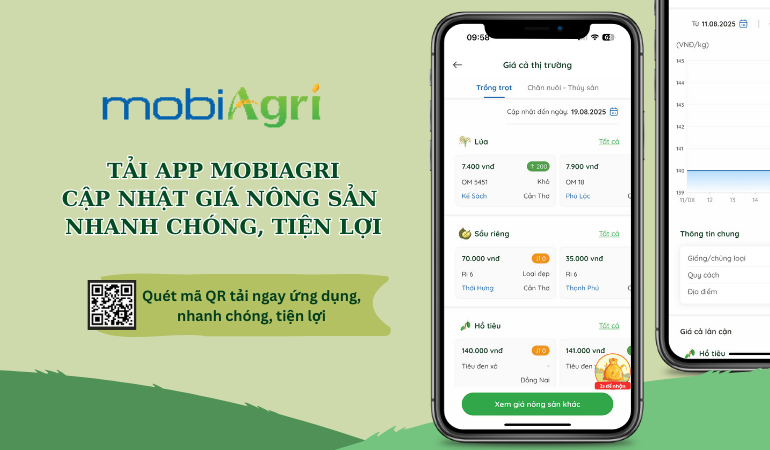 GIÁ NÔNG SẢN (1)