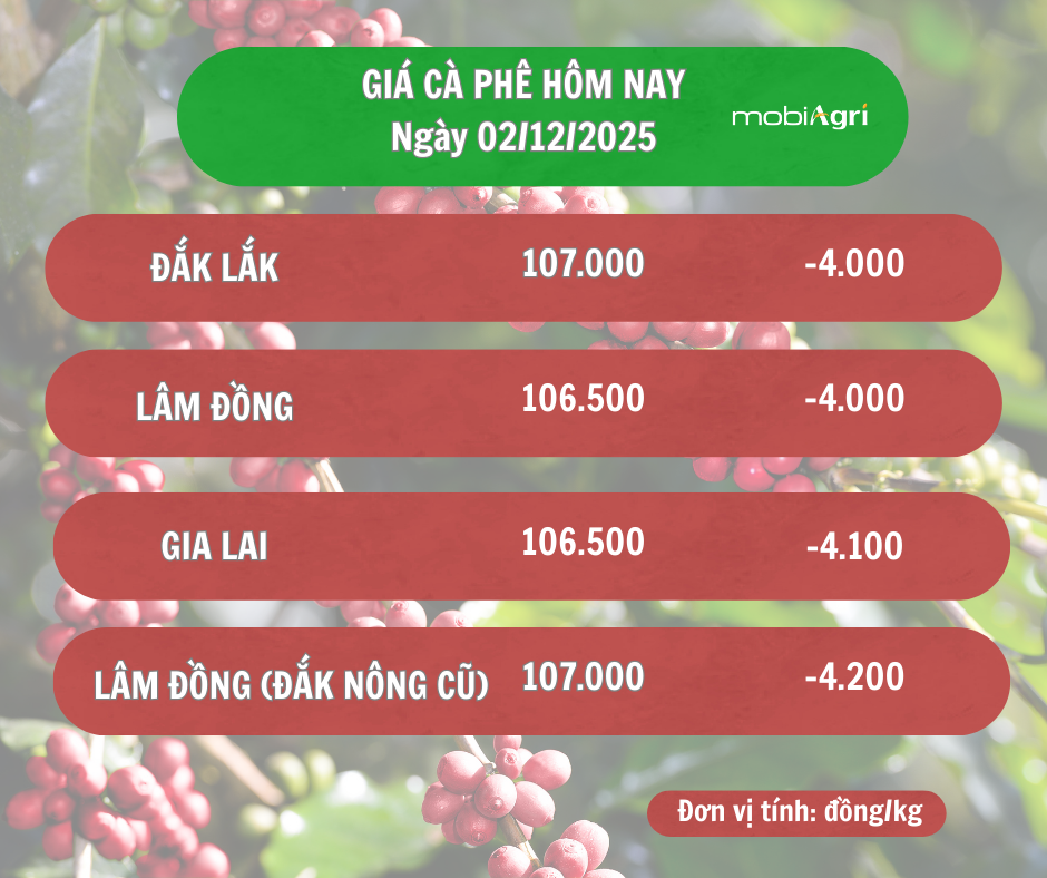 Gía cà phê đăng hàng ngày