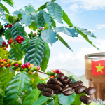 gia-ca-phe-hom-nay-11-12-2025