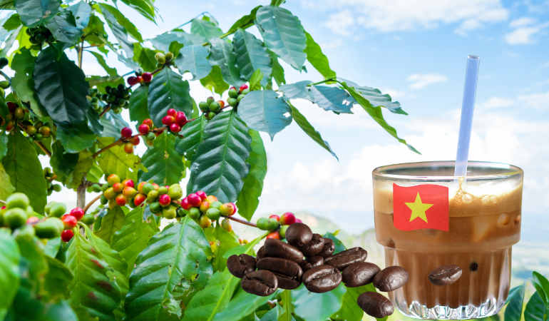 gia-ca-phe-hom-nay-11-12-2025