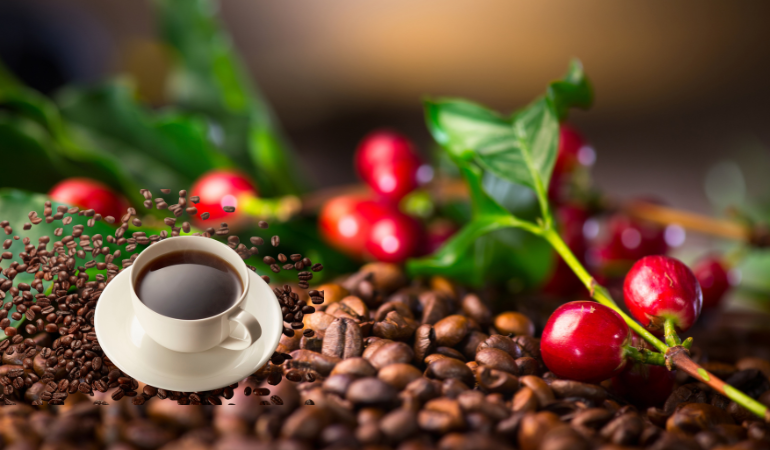 gia-ca-phe-hom-nay-16-12-2025-1