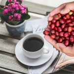 gia-ca-phe-hom-nay-25-12-2025-1