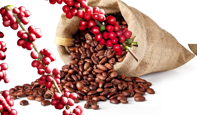 gia-ca-phe-hom-nay-26-12-2025-1