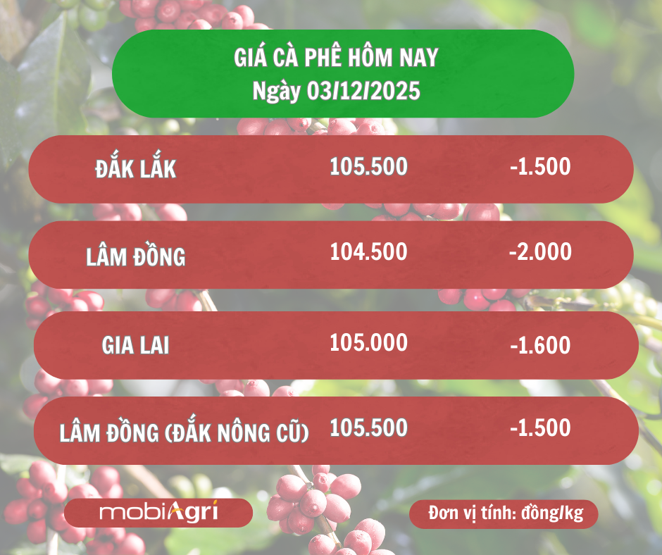 gia-ca-phe-hom-nay-3-12-2025