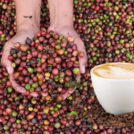 gia-ca-phe-hom-nay-4-12-2025-1