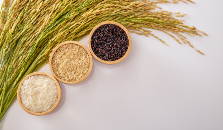 gia-lua-gao-hom-nay-15-12-2025-1