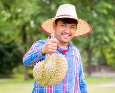 gia-sau-rieng-hom-nay-02-12-2025-1