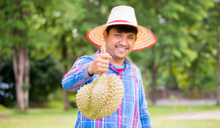 gia-sau-rieng-hom-nay-02-12-2025-1