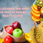 gia-trai-cay-ngay-9-12-2025-1