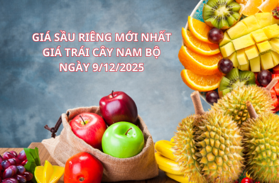 gia-trai-cay-ngay-9-12-2025-1
