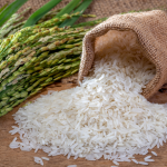 Giá lúa gạo ngày 2812026-1