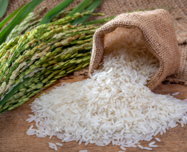 Giá lúa gạo ngày 2812026-1