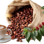 gia-ca-phe-hom-nay-12-1-2026