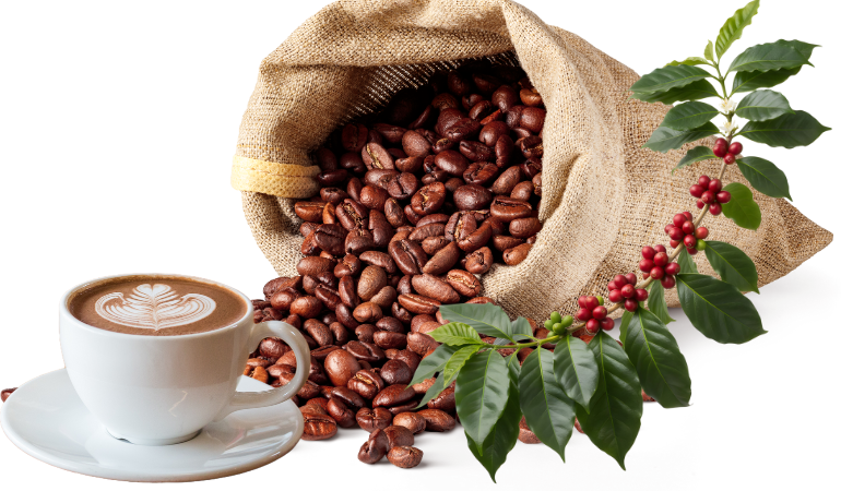 gia-ca-phe-hom-nay-12-1-2026