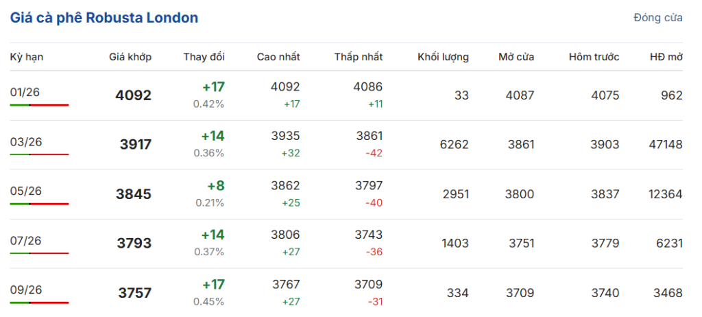 gia-ca-phe-hom-nay-13-1-2026-2