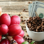 gia-ca-phe-hom-nay-28-1-2026-1