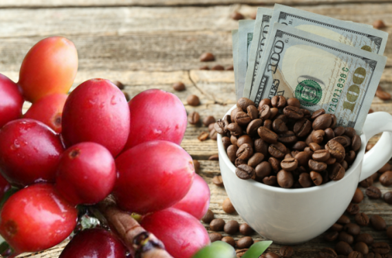 gia-ca-phe-hom-nay-28-1-2026-1