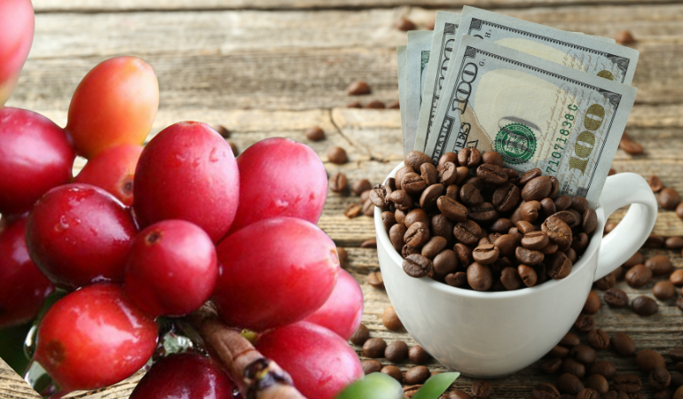 gia-ca-phe-hom-nay-28-1-2026-1