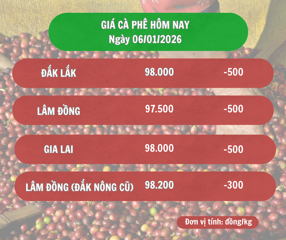 gia-ca-phe-hom-nay-6-1-2026-9