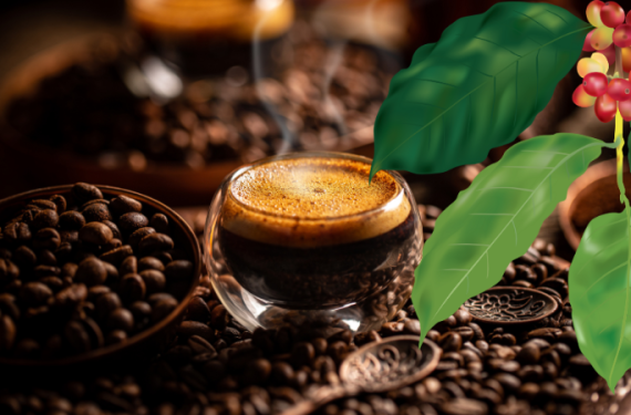 gia-ca-phe-hom-nay-9-1-2026