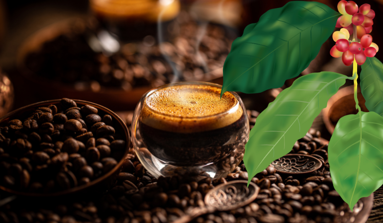 gia-ca-phe-hom-nay-9-1-2026