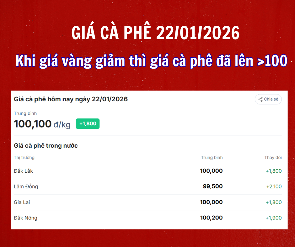 gia-ca-phe-ngay-22-1-2026