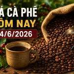 gia-ca-phe-hom-nay-24-6-2026-1