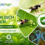 thien-dich-co-ich-phong-tru-sau-benh-tu-nhien-5