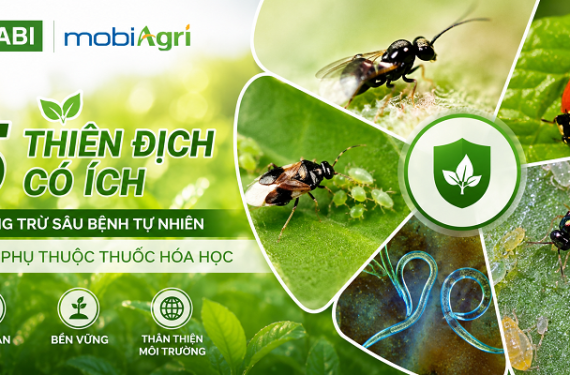 thien-dich-co-ich-phong-tru-sau-benh-tu-nhien-5